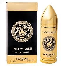 Perfume Paris Corner Indomable Sea Blue 100ml